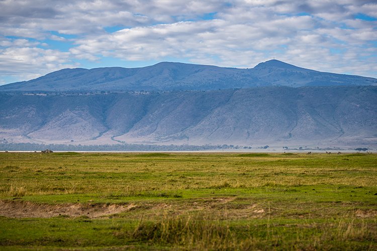 TZA ARU Ngorongoro 2016DEC26 Crater 020
